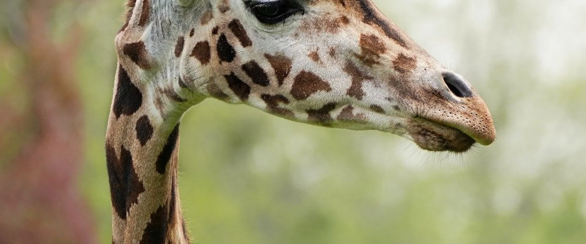 体育博彩PG电子